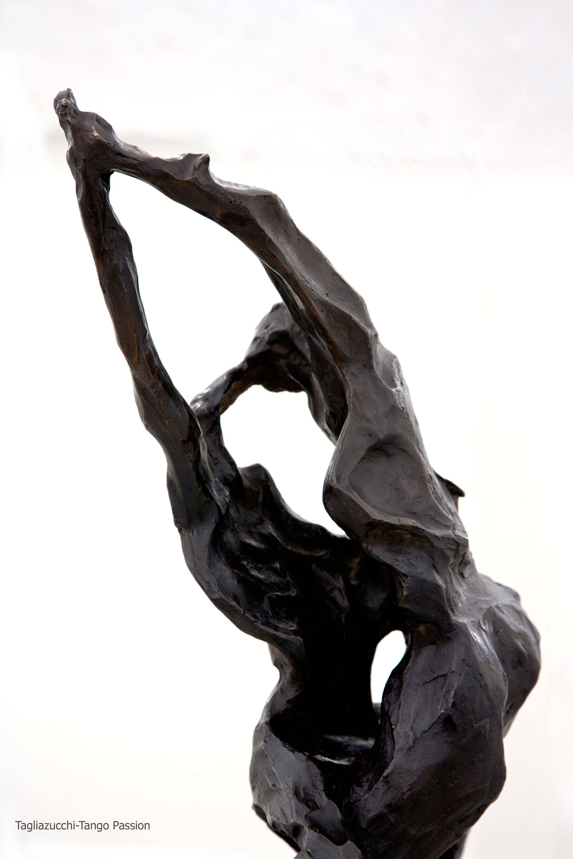 Tango Passion sculpture detail